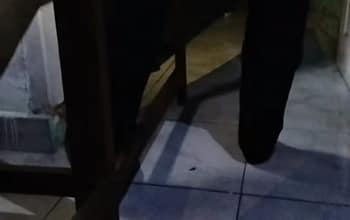 Kematian Karyawan Saige Cenlentang Jadi Sorotan, Keluarga Nilai Banyak Kejanggalan dan Minta Polisi Usut Tuntas